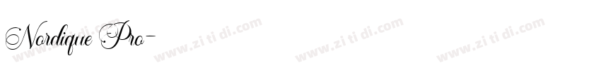 Nordique Pro字体转换